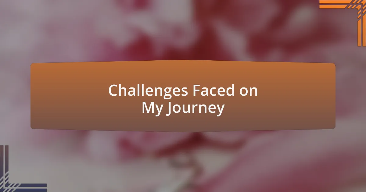 Challenges Faced on My Journey